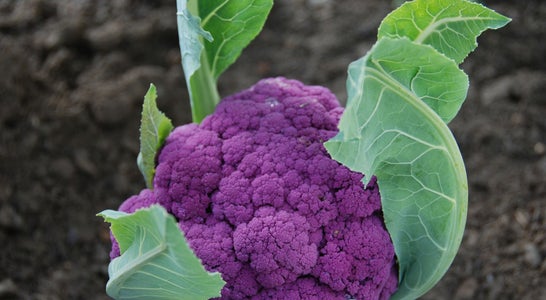 Kohlausstellung an der FS Salern Kohlausstellung an der FS Salern