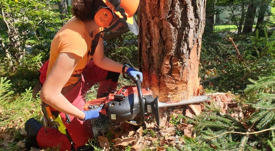 Waldarbeiterkurs an der FS Salern Waldarbeiterkurs an der FS Salern