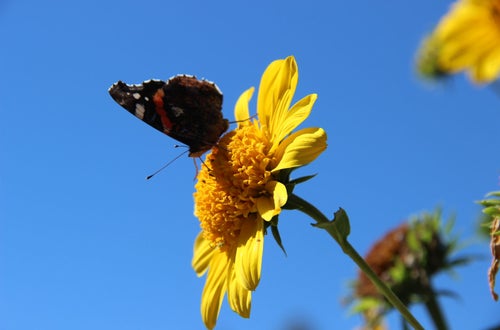 Outdoortag 2020 an der FS Salern Outdoortag 2020 an der FS Salern