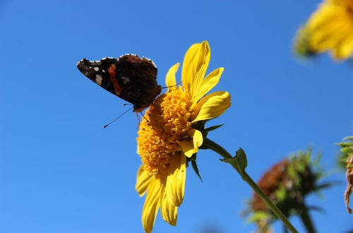 Outdoortag 2020 an der FS Salern Outdoortag 2020 an der FS Salern