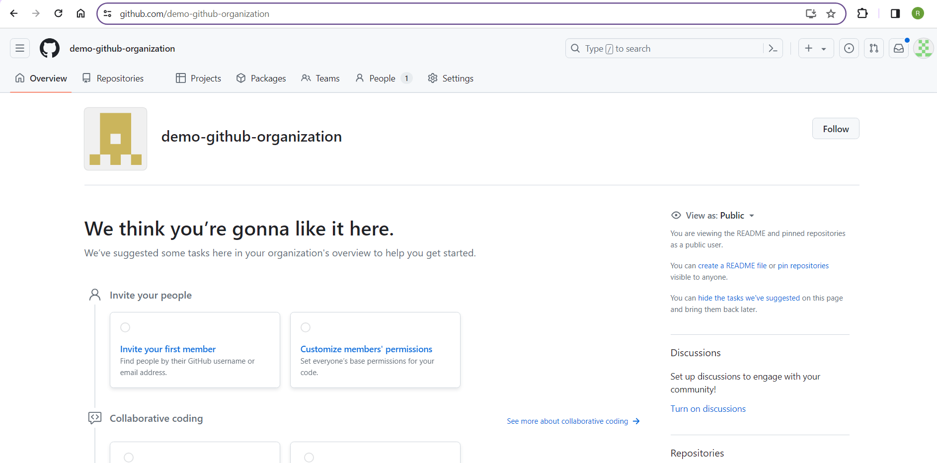 GitHub organization overview page