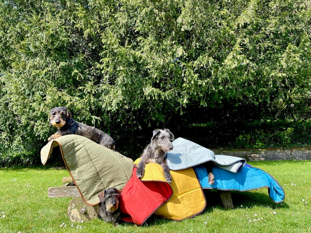 Three dogs are happy with their LISH products