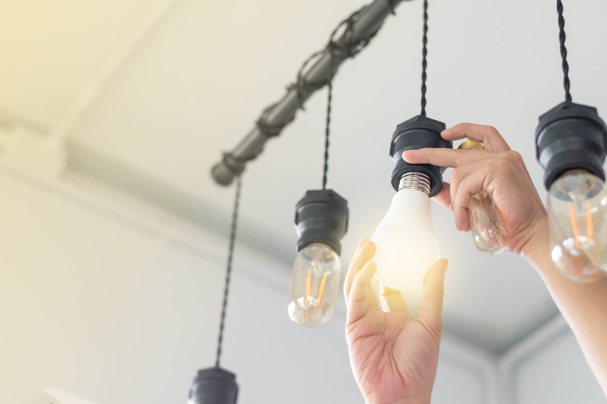 A business owner replaces old filament light bulbs with more energy efficient bulbs