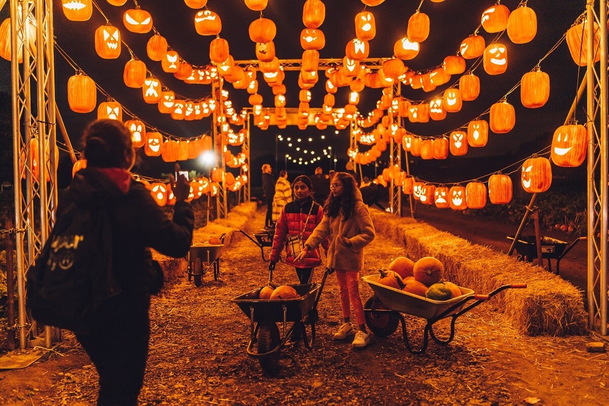 A group of people walk through the brightly lit pumpkin tunnel