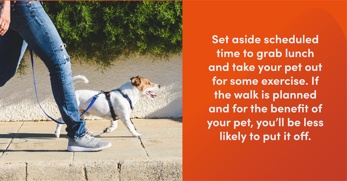 Dog owner walks small dog on a leash. Text reads "Set aside scheduled time to grab lunch and take your pet out for some exercise. If the walk is planned and for the benefit of your pet, you’ll be less likely to put it off."
