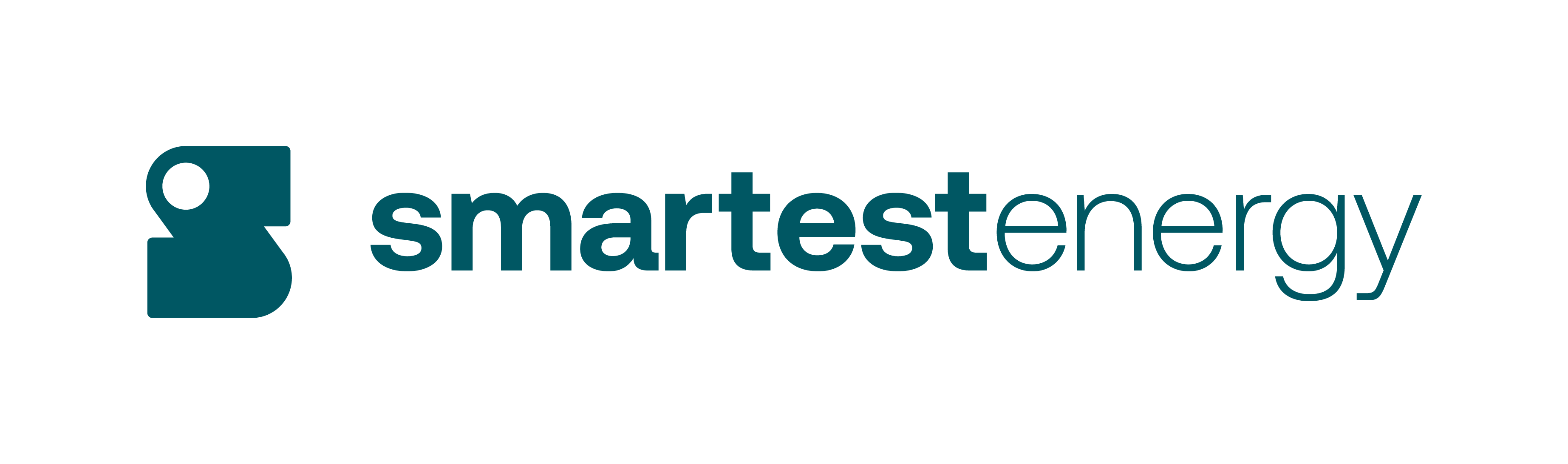 Smartest Energy logo