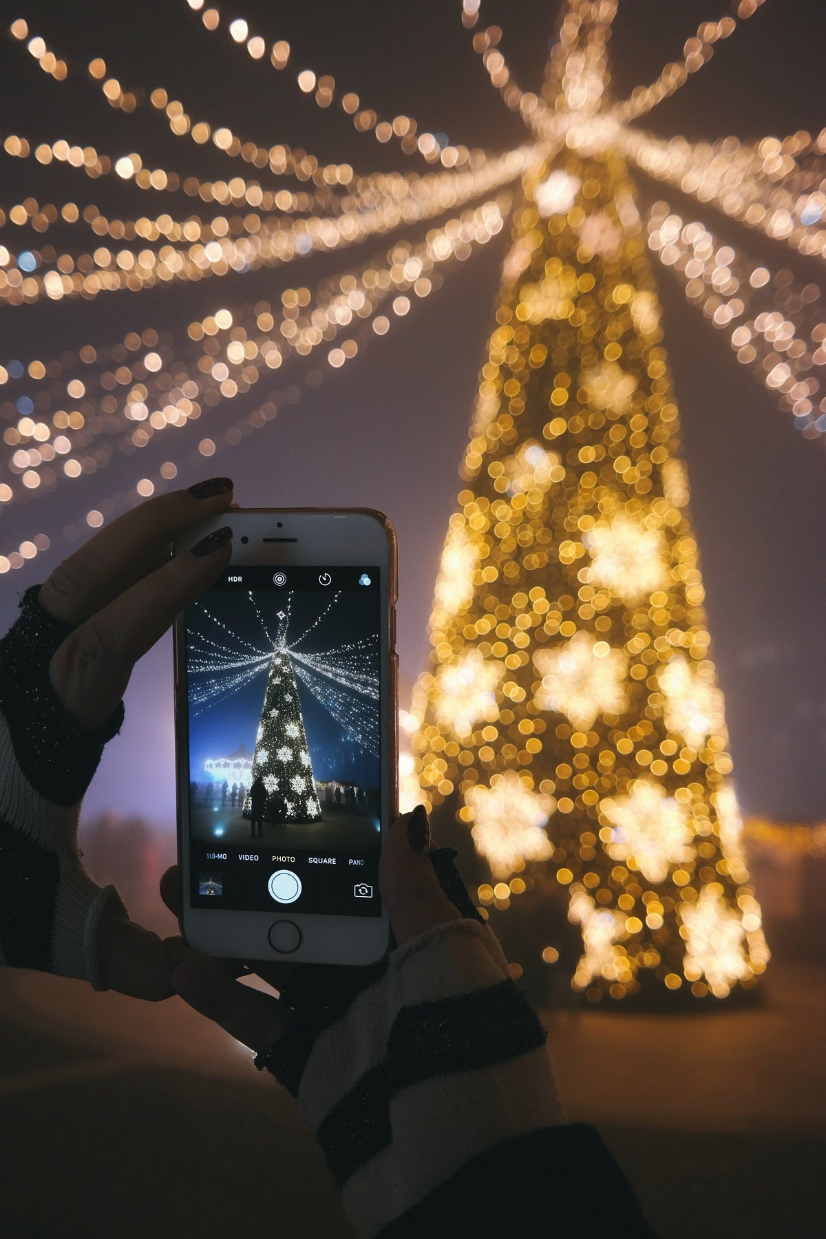Someone taking a photo of a glowing Christmas tree with their phone