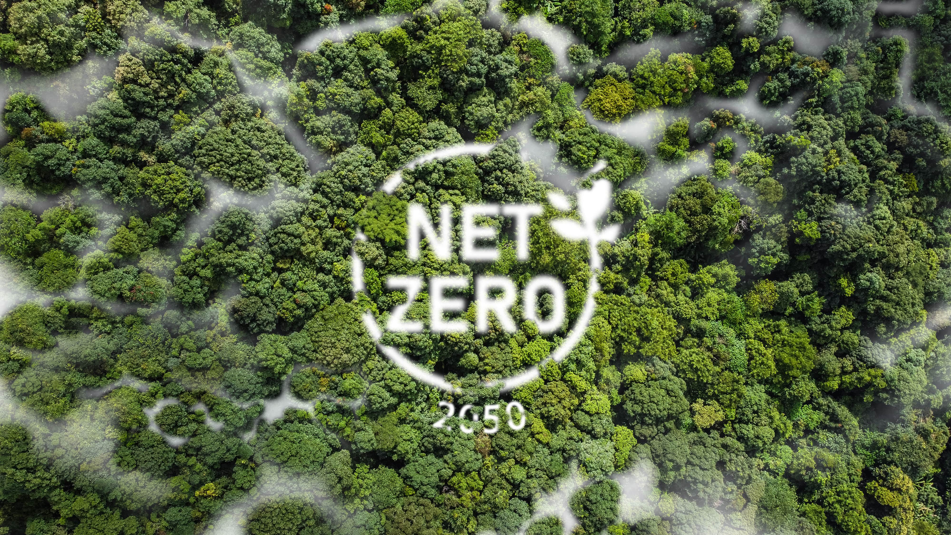 Birdseye view of a forest with Net Zero 2050 graphic overlayed
