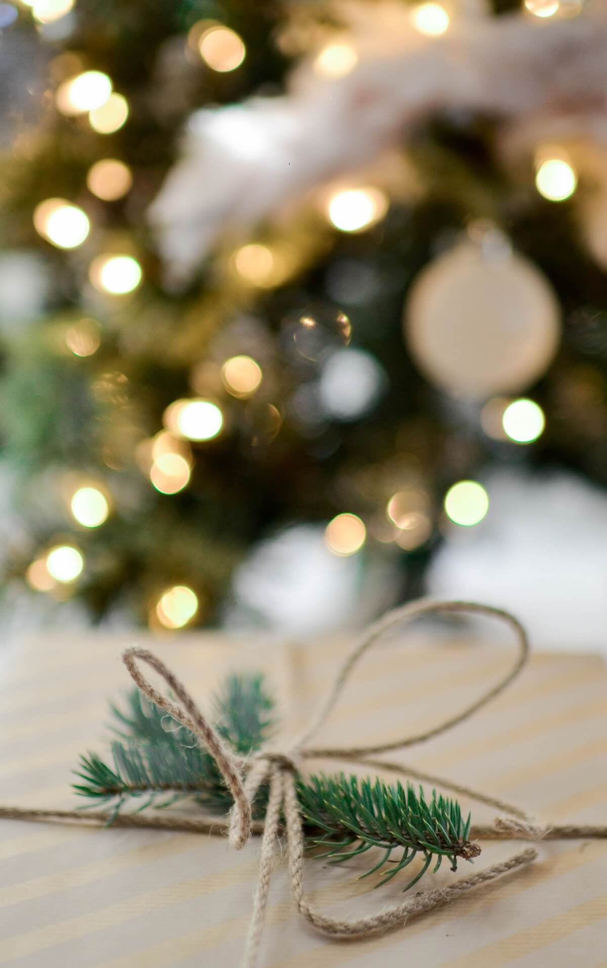 A Christmas tree cutting lays on a wooden table