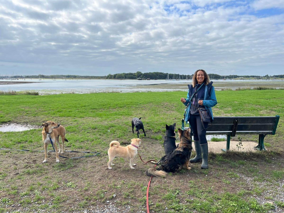 Jessie Stacey, owner of The Animal Days, stands by a bench with four dogs she has taken for a walk