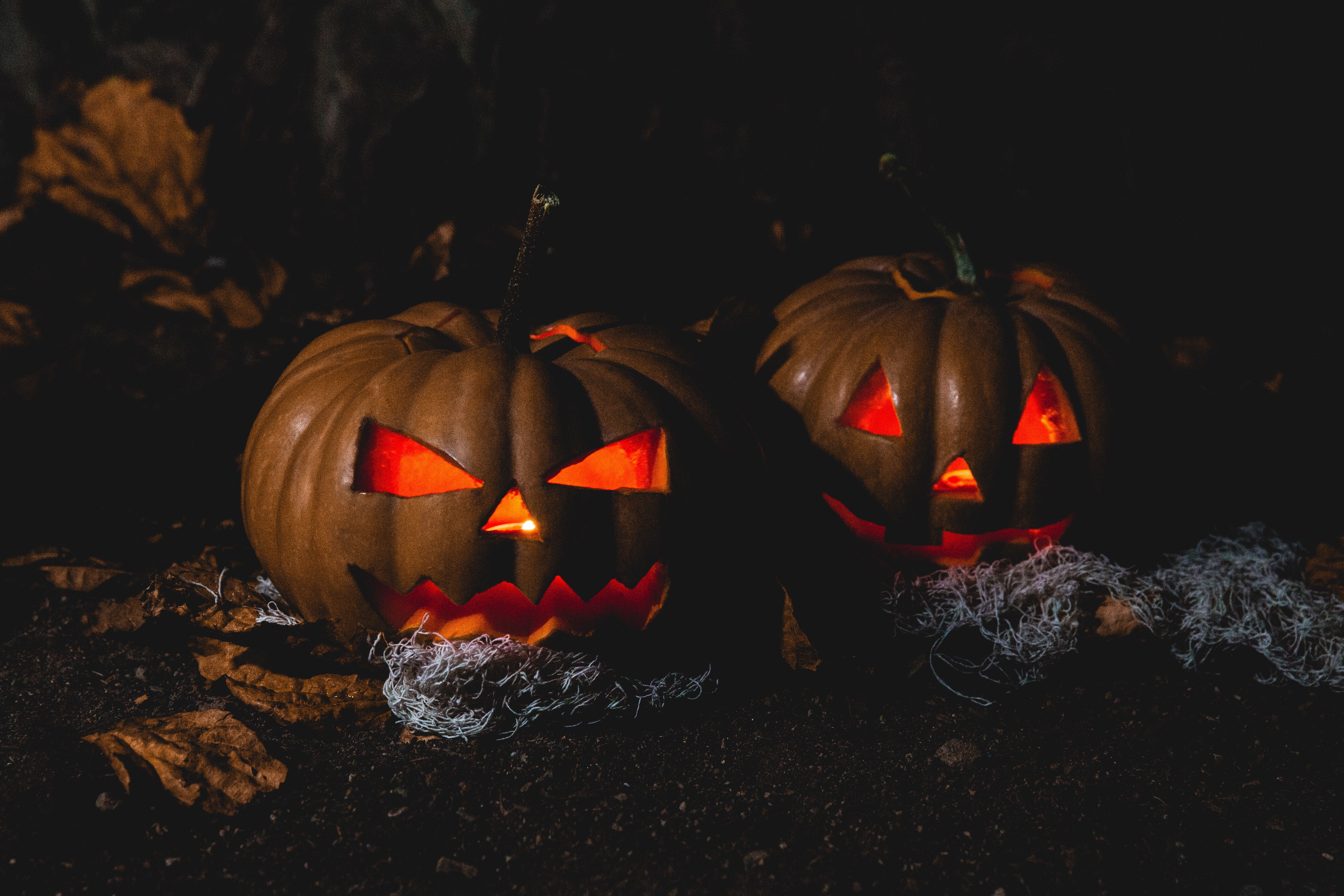 Glowing carved pumpkins in the dark