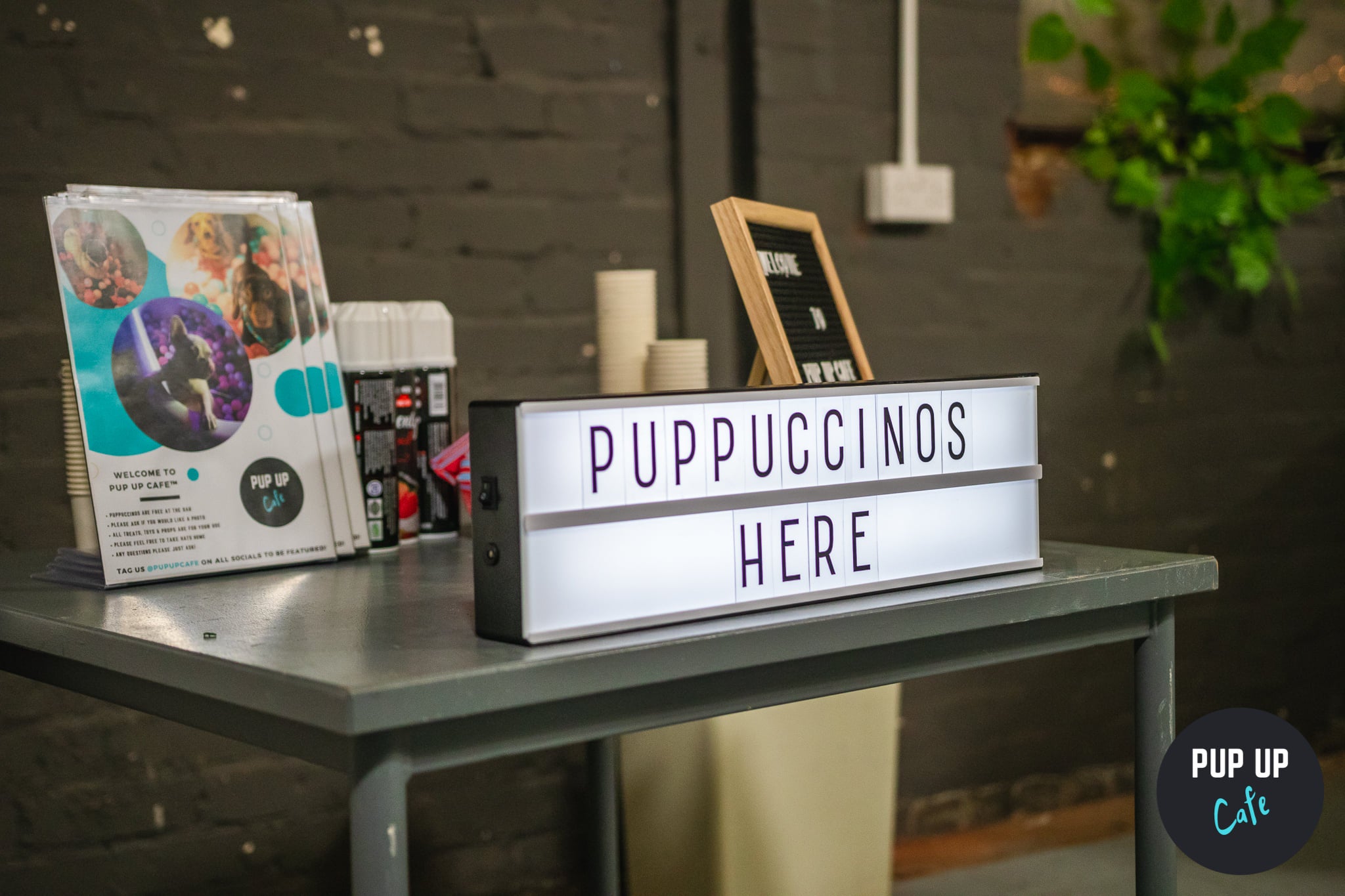 A sign advertising puppuccinos at a stall in the Pup Up Cafe