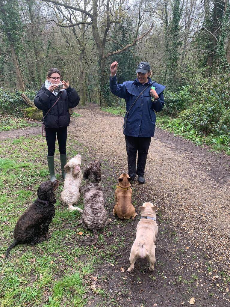 Two dog walkers from The Animal Days stand in a wooded area with five dogs