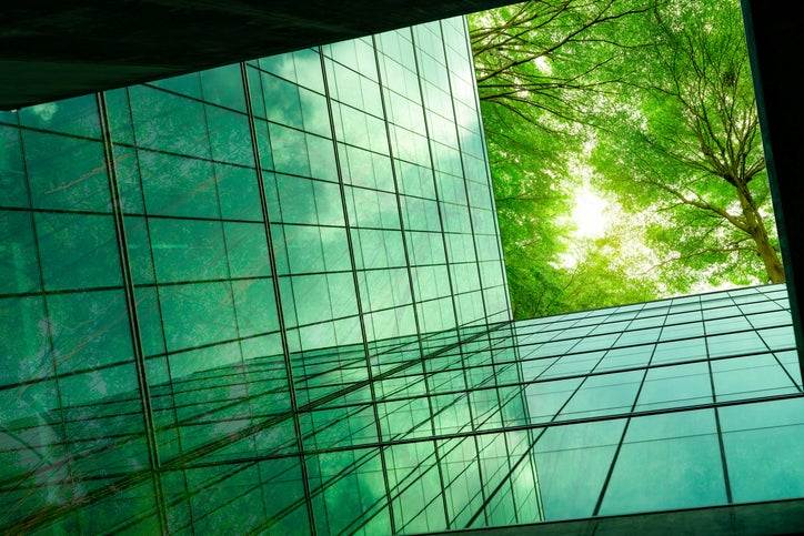 Eco-friendly building in the modern city. Green tree branches with leaves and sustainable glass building for reducing heat and carbon dioxide.