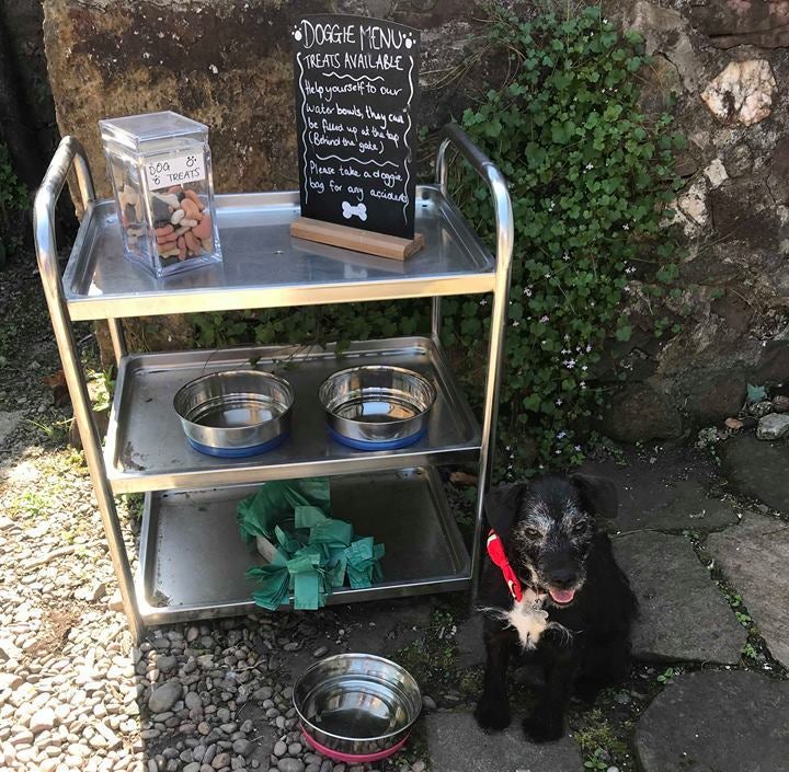 Small black dog sat by silver water bowl and tray of doggie treats