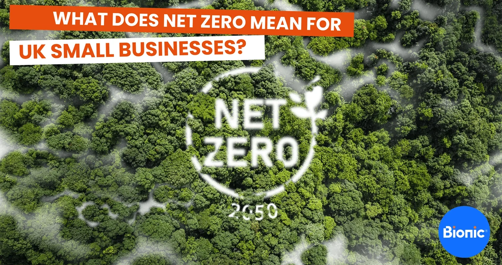 Birdseye view of a forest with Net Zero 2050 graphic overlayed. The caption reads: What does net zero mean for UK small businesses?