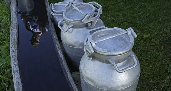 Agrar- und Forstberichte