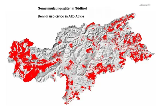 Grafische Darstellung der Flächen der Gemeinnutzungsgüter in Südtirol