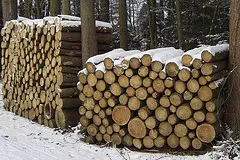 Holzstapel