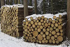 Holzstapel