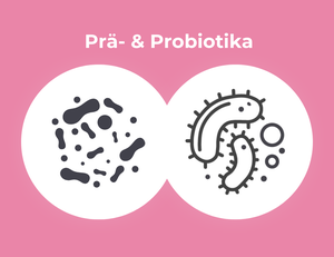 Grafik zeigt zwei Mikroben Bilder. Diese sollen Pro- und Präbiotika darstellen.