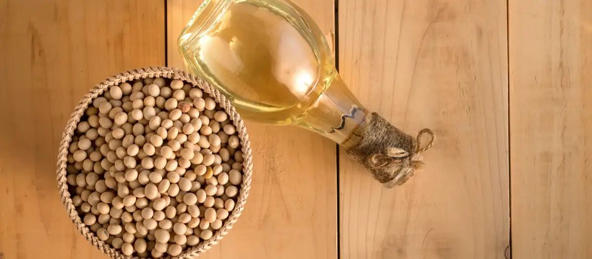 Von oben: Schale mit Hülsenfrüchten und Ölflasche.