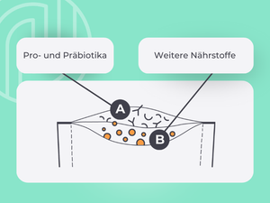 Grafik zeigt die zwei Kammern des Duocam-Sachets: Erste Kammer: Pro- und Präbiotika. Zweite Kammer: Weitere Nährstoffe.