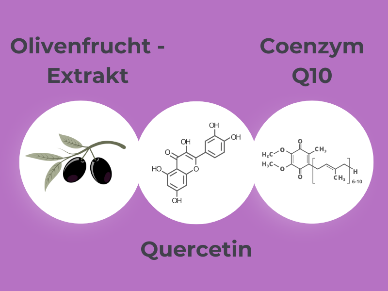 Medibiotix Gluco mit Olivenfruchtextrakt, Quercetin und Coenzym Q10.