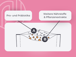 Die zwei Kammern des Duocam-Sachets: erste Kammer: Pro- und Präbiotika, zweite Kammer: Weitere Nährstoffe und Pflanzenextrakte.