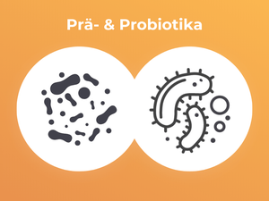 MedibiotiX Fit mit Prä- und Probiotika