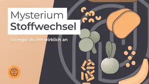 Fettstoffwechsel anregen: Tipps und Lebensmittel