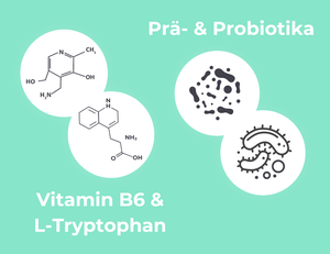 Grafik zeigt Inhaltsstoffe von Medibiotix Mental: Präbiotika und Probiotika, Vitamin B6 und L-Tryptophan.
