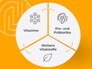 Medibiotix Dreiklang: Vitamine, Pro- und Präbiotika und weitere Vitalstoffe.