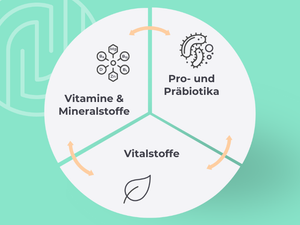 Grafik zeigt den Medibiotix Mental Dreiklang, der aus drei Ebenen besteht. Erste Ebene: Vitamine und Mineralstoffe. Zweite Ebene: Pro- und Präbiotika. Dritte Ebene: Vitalstoffe.