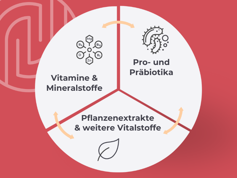Grafik zeigt den Medibiotix Lipo Dreiklang, der aus drei Ebenen besteht. Erste Ebene: Vitamine und Mineralstoffe. Zweite Ebene: Pro- und Präbiotika. Dritte Ebene: Pflanzenextrakte und weitere Vitalstoffe.