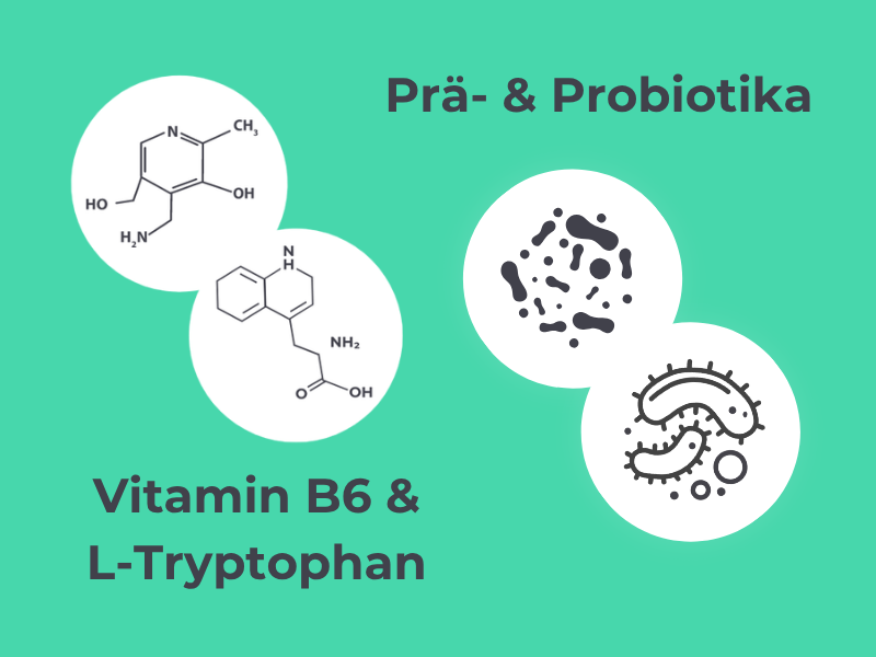 Grafik zeigt Vitamin B6 und L-Tryptophan sowie Pro- und Präbiotika.
