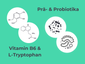 Grafik zeigt Vitamin B6 und L-Tryptophan sowie Pro- und Präbiotika.