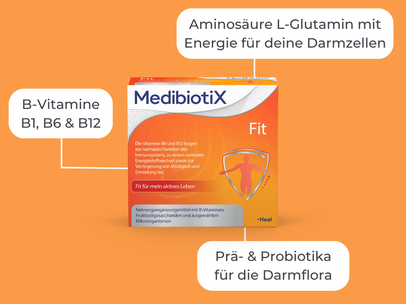 Grafik zeigt Medibiotix Fit Packung und grafische Hinweise: Aminosäure L-Glutamin mir Energie für deine Darmzellen, B-Vitamine B1, B6 & B14, Prä- und Probiotika für die Darmflora.