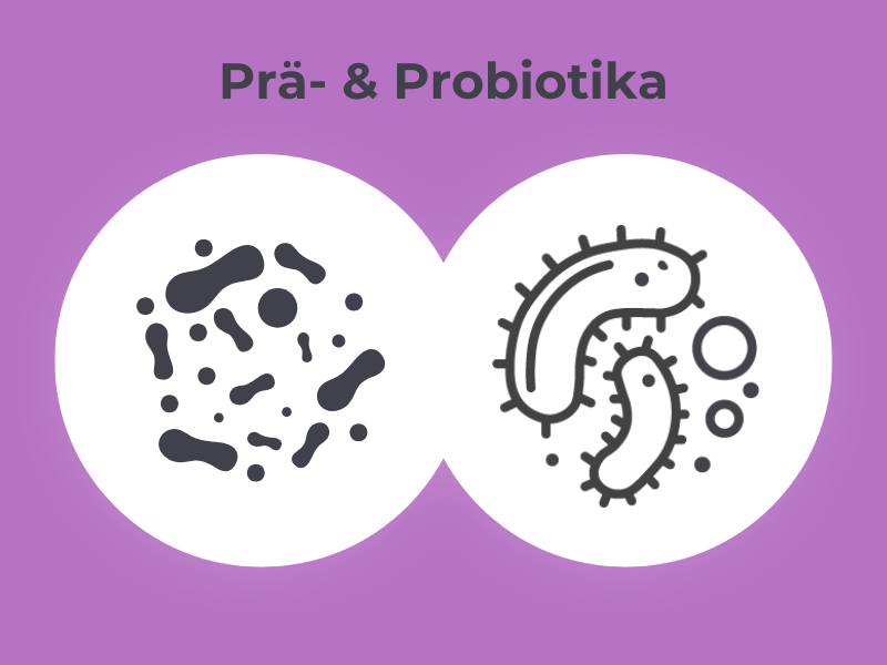 MedibiotiX Gluco mit Prä- und Probiotika.