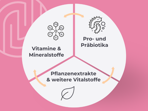 Der Medibiotix Dreiklang: Vitamine & Mineralstoffe, Pro- und Präbiotika, Pflanzenextrakte und weitere Vitalstoffe.