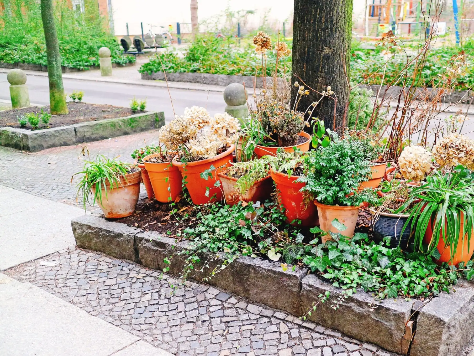 Guerilla Gardening Projekt an einem Straßenrand.