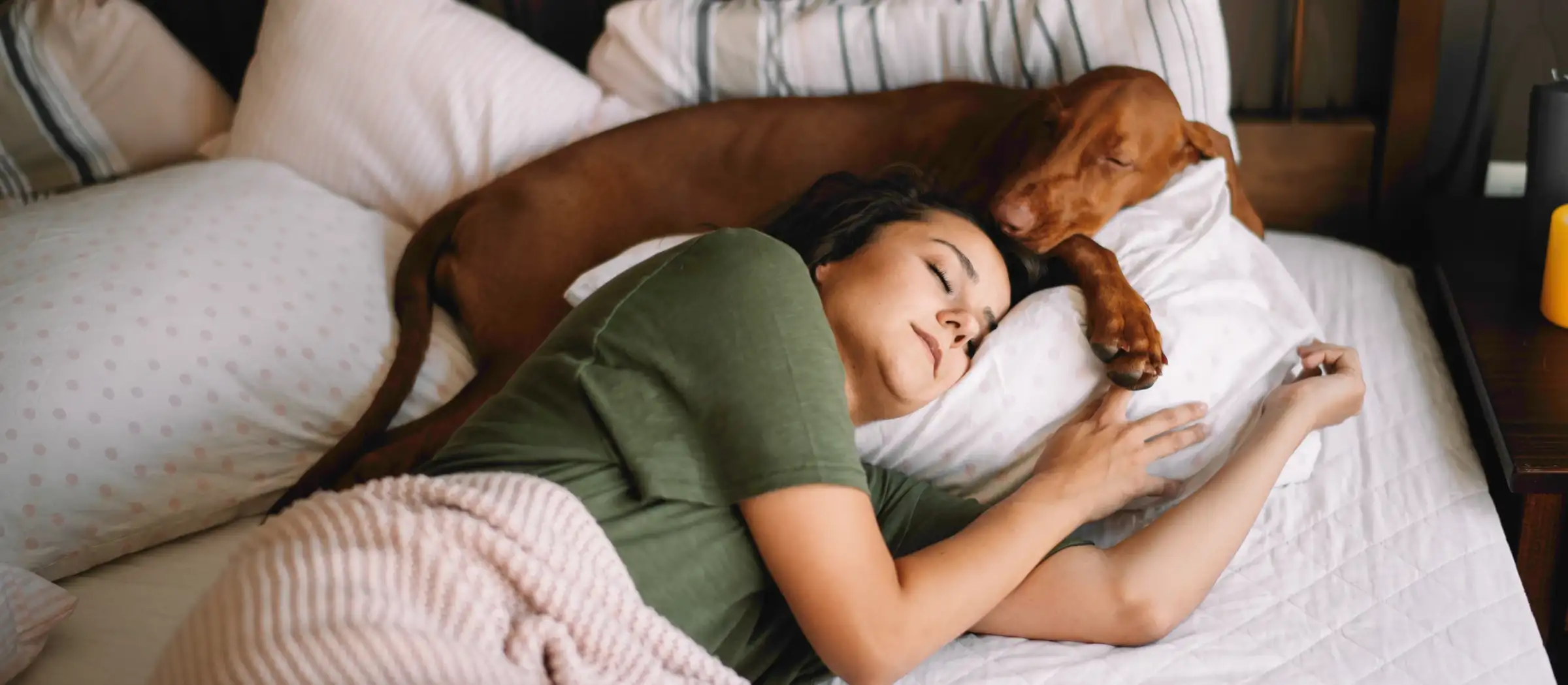 Frau liegt mit Hund im Bett und schläft.