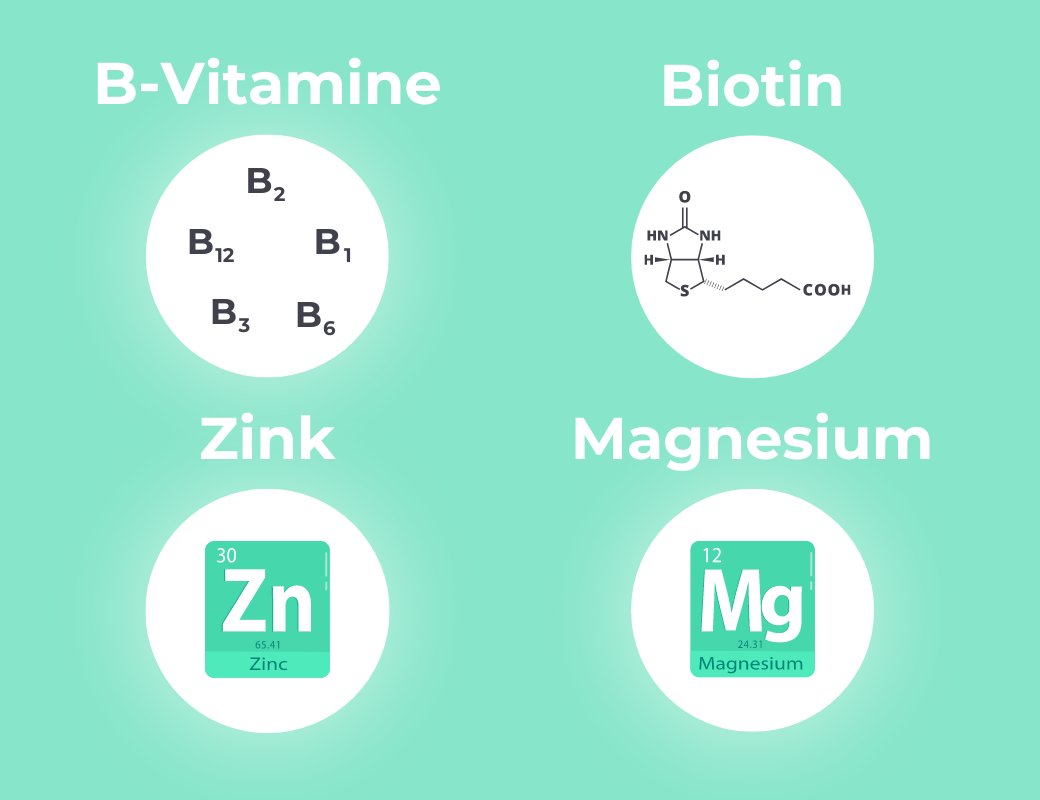 Eine Grafik zeigt die Inhaltsstoffe von Medibiotix Mental: B-Vitamine, Biotin, Zink, Magnesium.