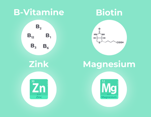 Eine Grafik zeigt die Inhaltsstoffe von Medibiotix Mental: B-Vitamine, Biotin, Zink, Magnesium.