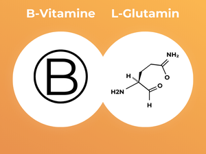 MedibiotiX Fit mit B-Vitaminen und L-Glutamin.