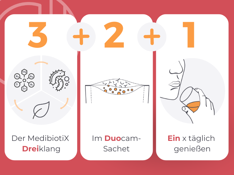 Grafik zeigt die drei Elemente, der 3-2-1-Formel von Medibiotix Lipo.