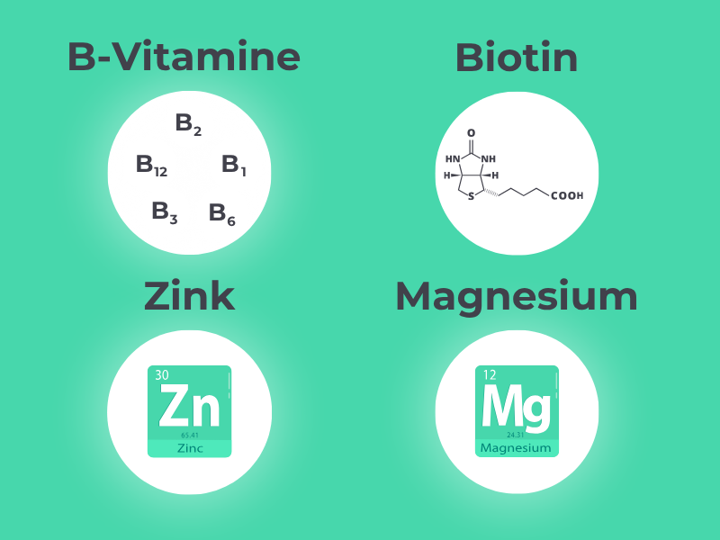 Grafik zeigt die verschiedenen Inhaltsstoffe von MedibiotiX Mental: B-Vitamine, Biotin, Zink und Magnesium.