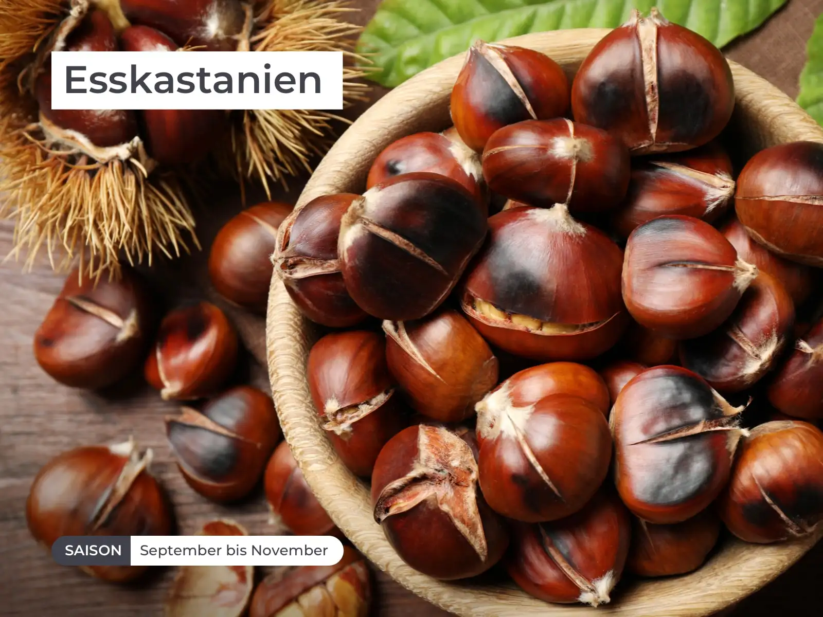• reich an Proteinen, Fett, Kalium, Magnesium, Schwefel und Kalzium
• wird traditionell angewendet bei Juckreiz, Muskelspannungen und Wadenkrämpfen
• leckere Delikatesse in der kalten Jahreszeit