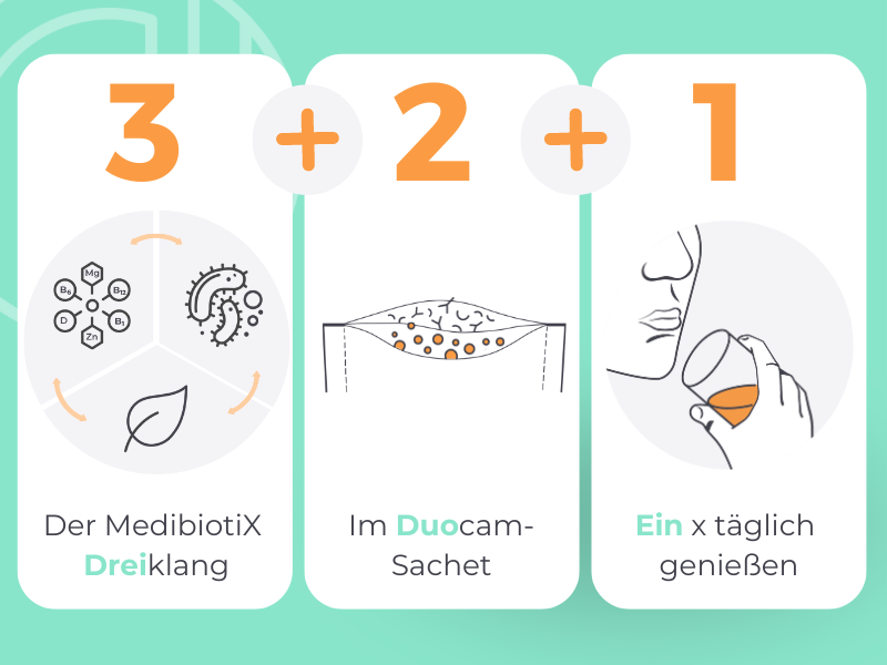 Grafik zeigt die drei Elemente, der 3-2-1-Formel von Medibiotix Mental.