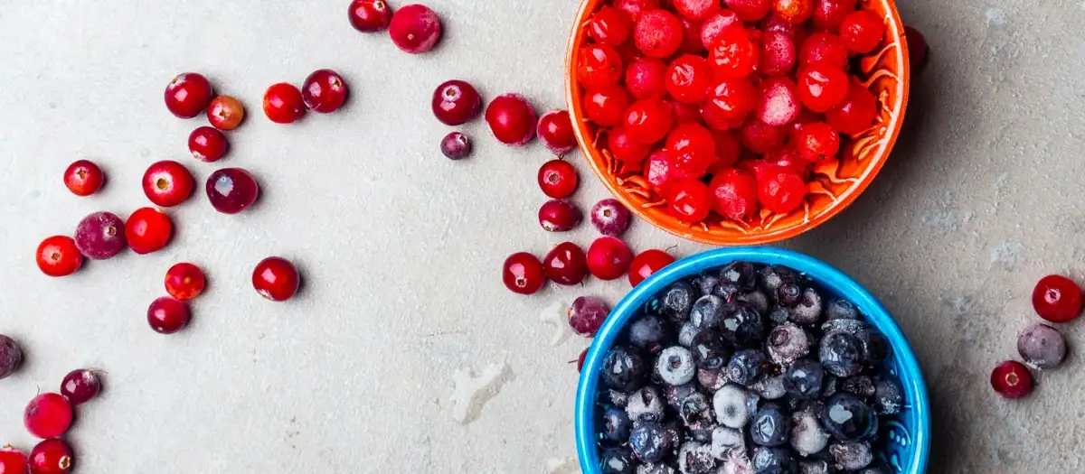 Cranberries und Blaubeeren in zwei Schalen.